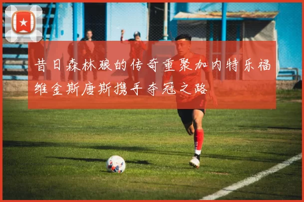 昔日森林狼的传奇重聚加内特乐福维金斯唐斯携手夺冠之路